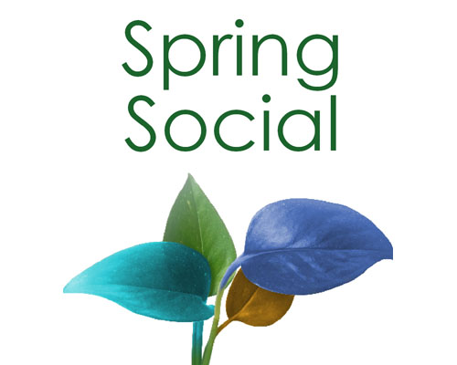 Spring Social - easyread edizioni